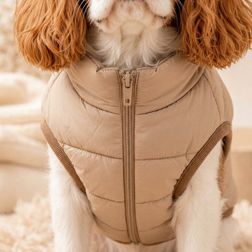 JEXNORIVA™ Alpine Puff Dog Jacket – Lightweight Winter Dog Coat & Warm Pet Outerwear