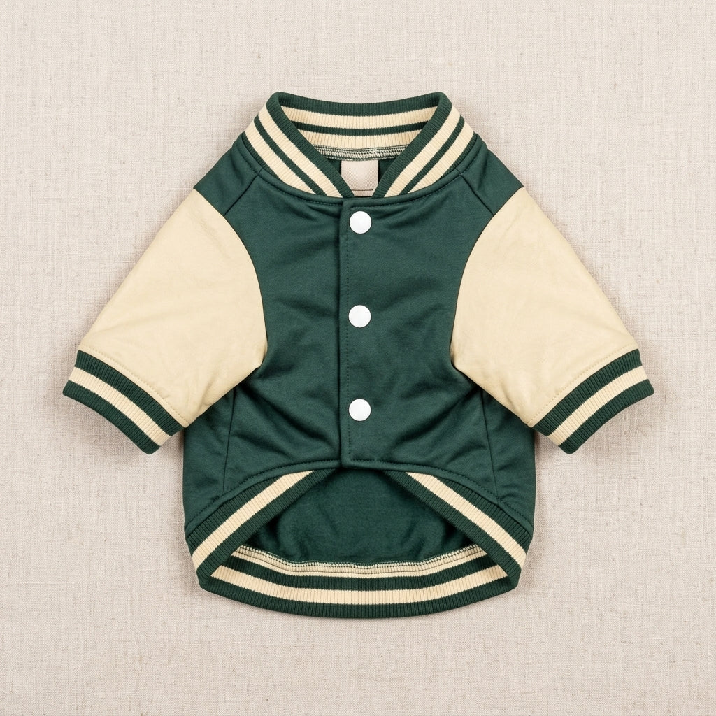 JEXNORIVA™ Metro Varsity Pet Jacket – Dog Bomber Jacket & Modern Streetwear Puppy Clothes